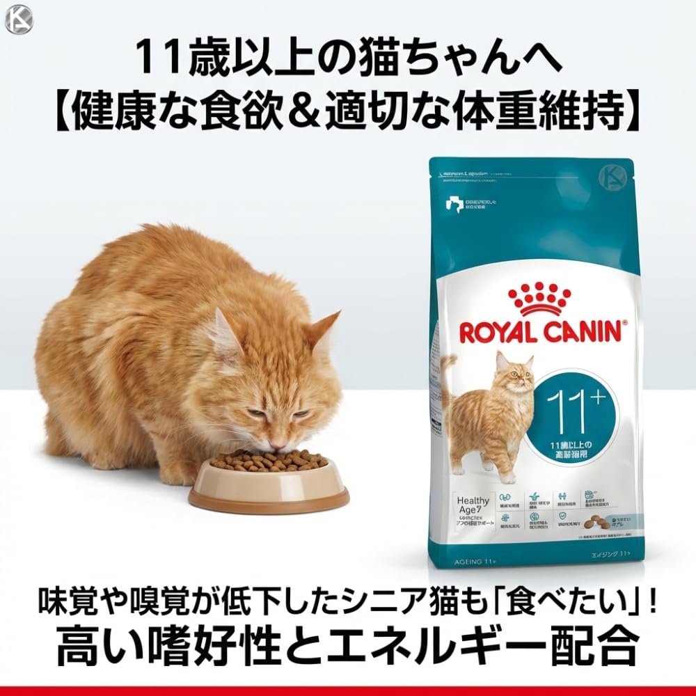  CANIN エイジング 11+ 2kg 3袋セット Amazon | 【 2kg 2個セット 】 ロイヤルカナン エイジング 11+ 高齢猫